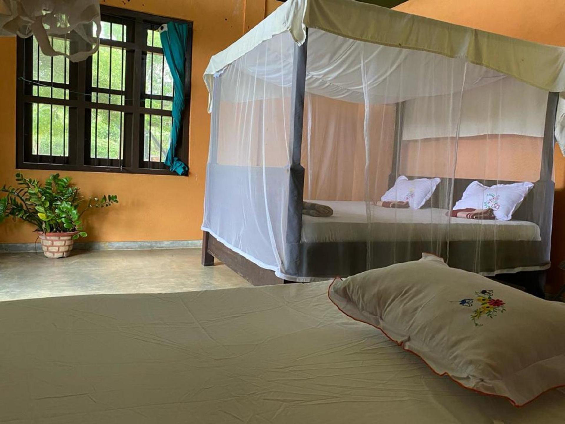 Yala Ying Yang Hostel & Camping Ngoại thất bức ảnh