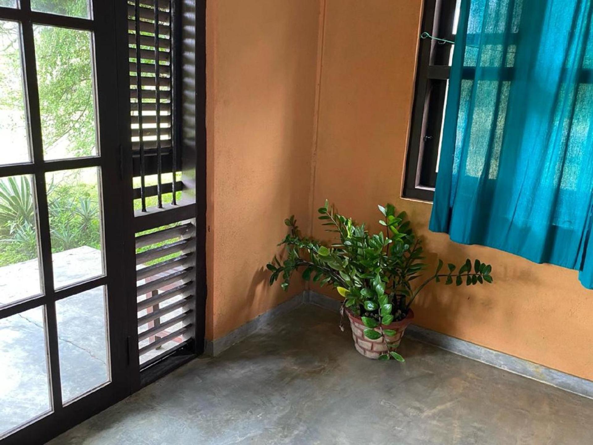 Yala Ying Yang Hostel & Camping Ngoại thất bức ảnh