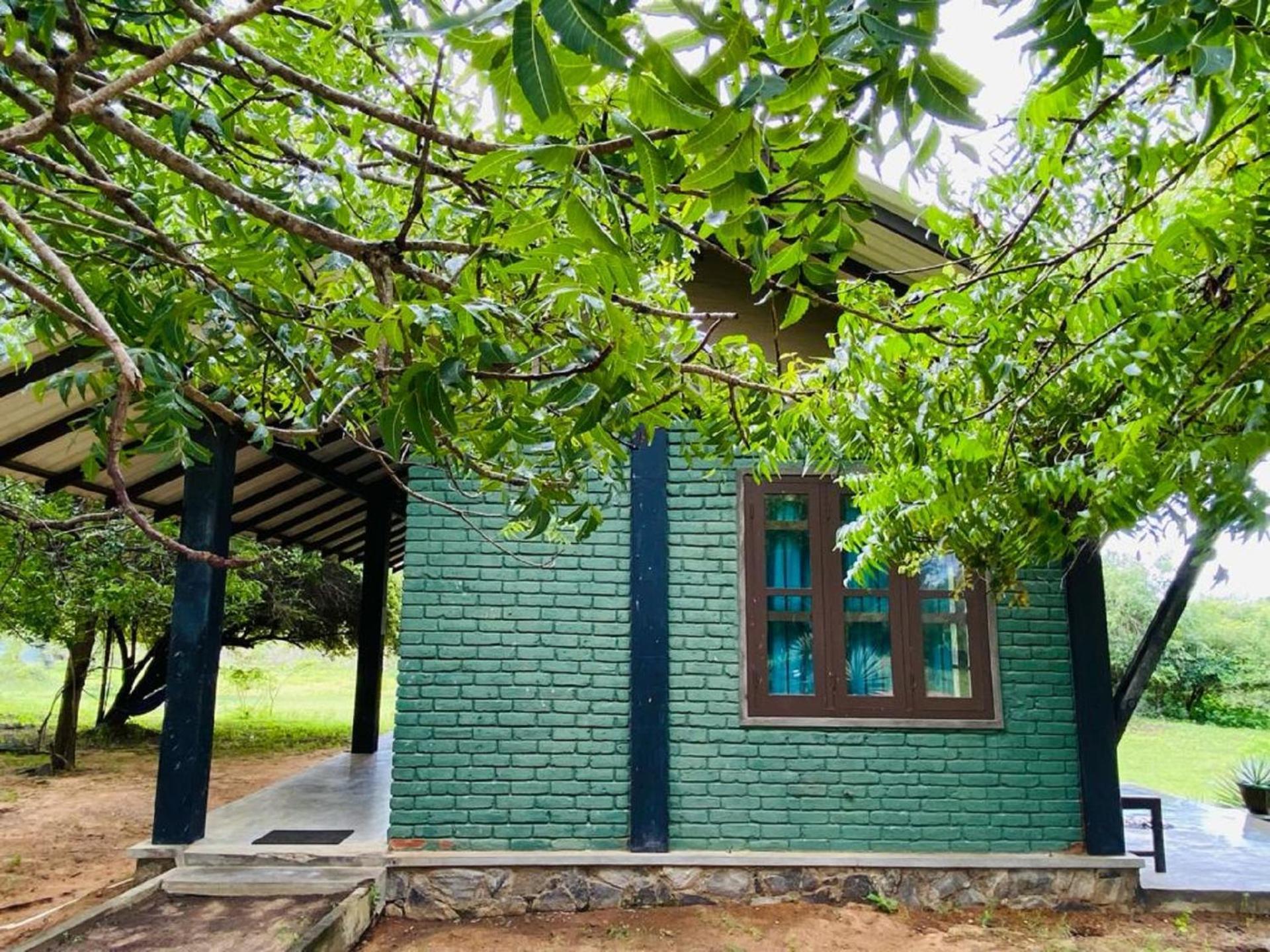 Yala Ying Yang Hostel & Camping Ngoại thất bức ảnh