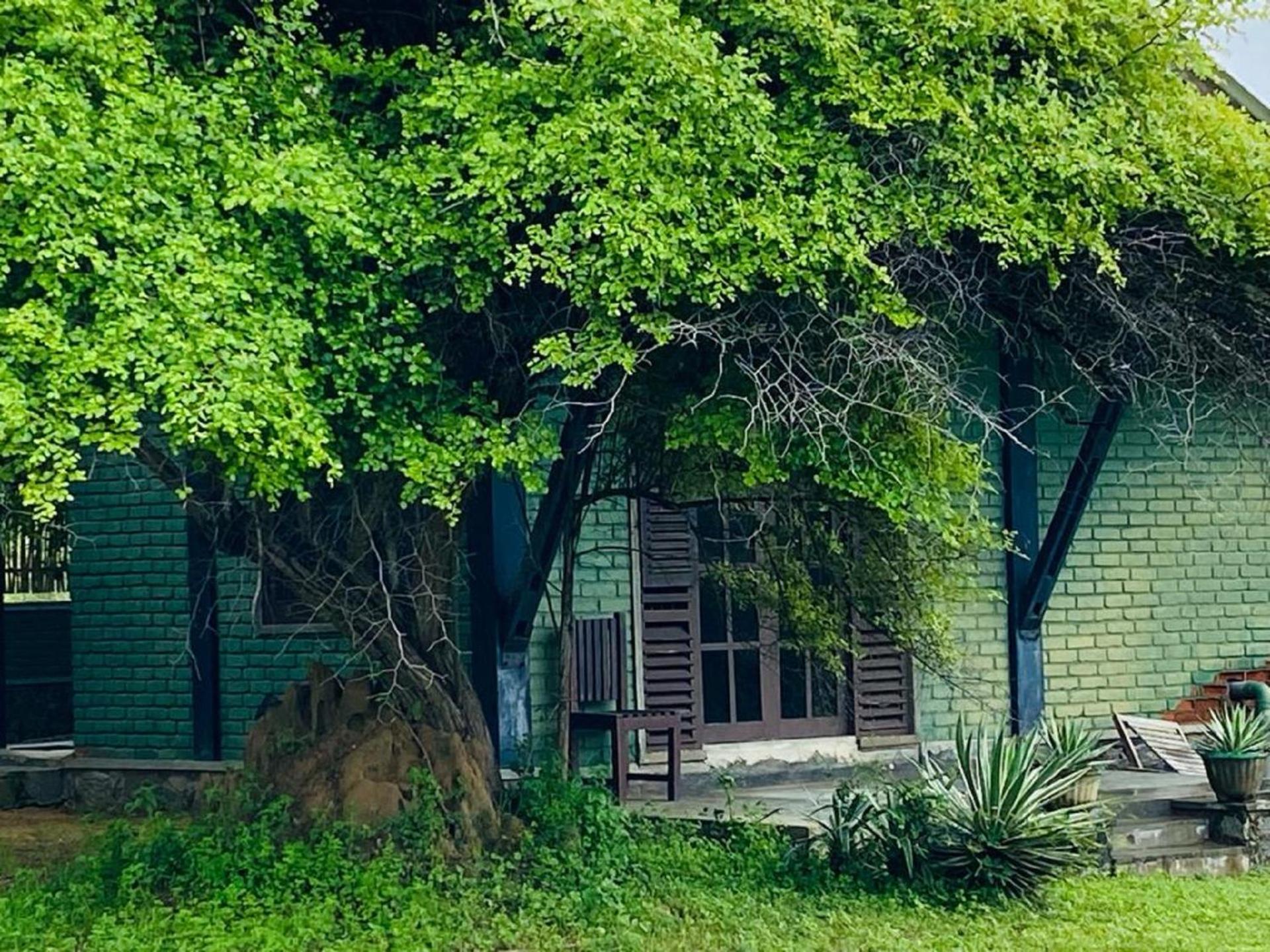 Yala Ying Yang Hostel & Camping Ngoại thất bức ảnh