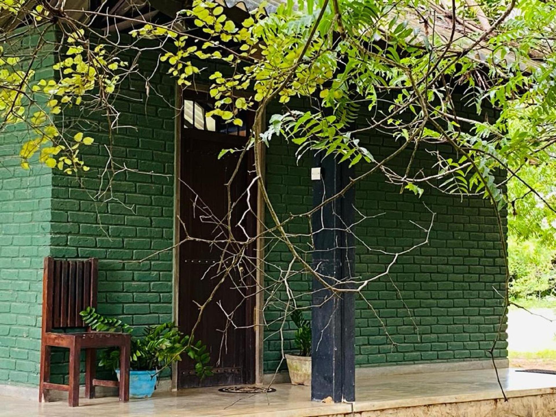 Yala Ying Yang Hostel & Camping Ngoại thất bức ảnh