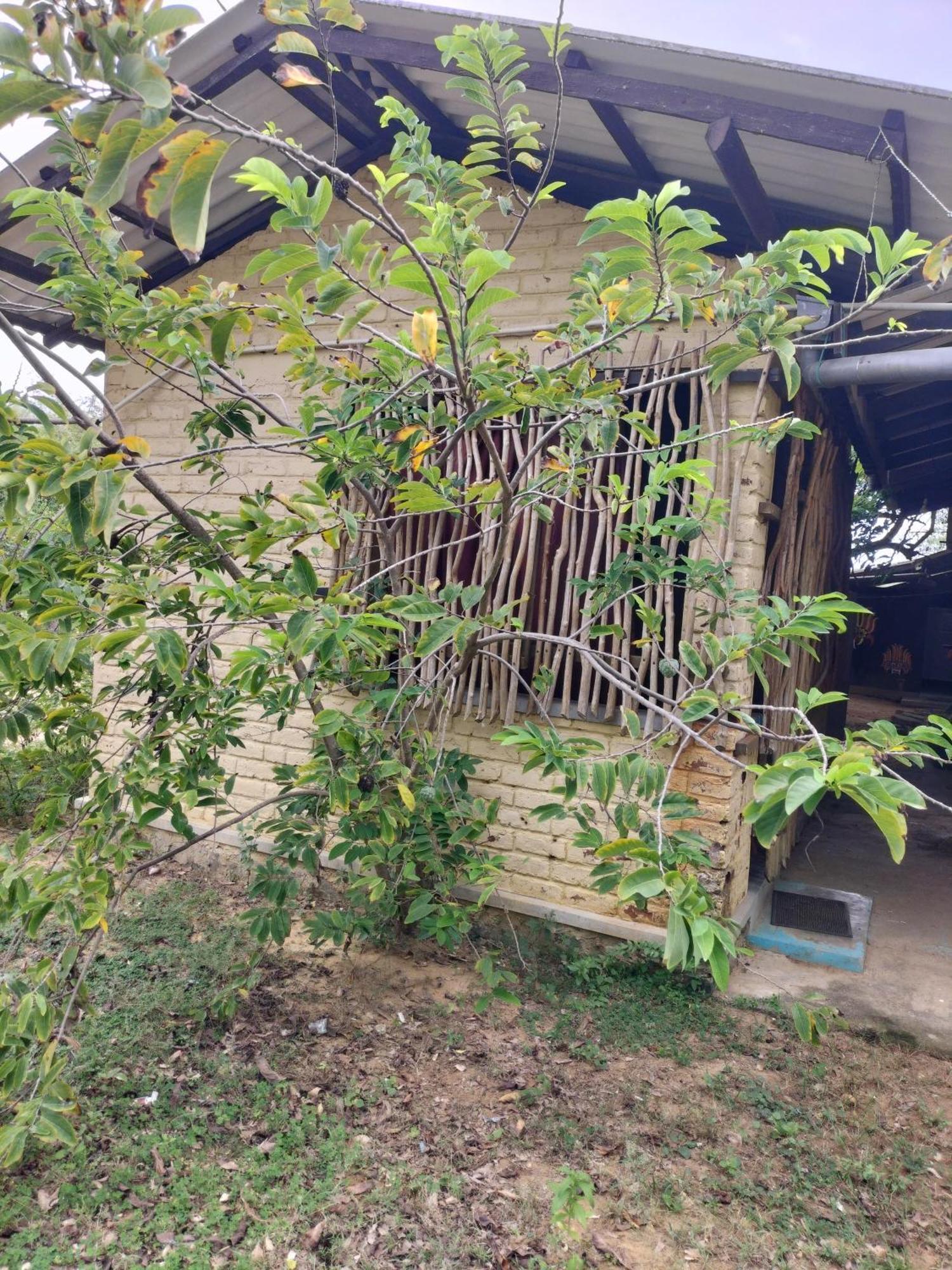 Yala Ying Yang Hostel & Camping Ngoại thất bức ảnh